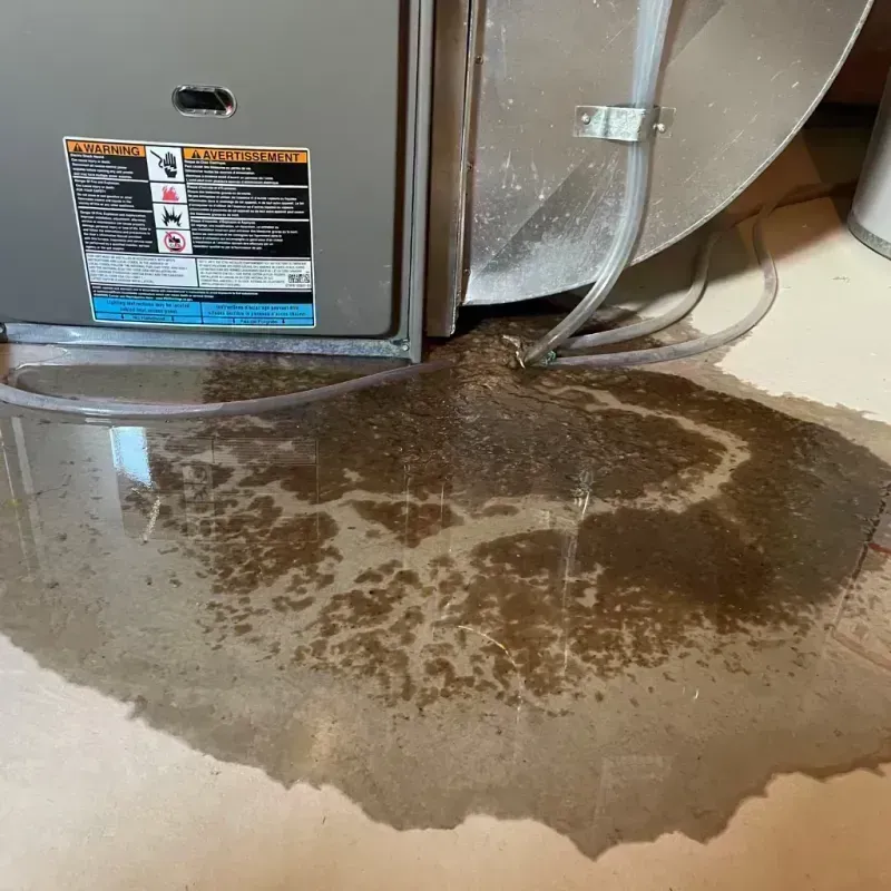 Appliance Leak Cleanup in Clay County, WV